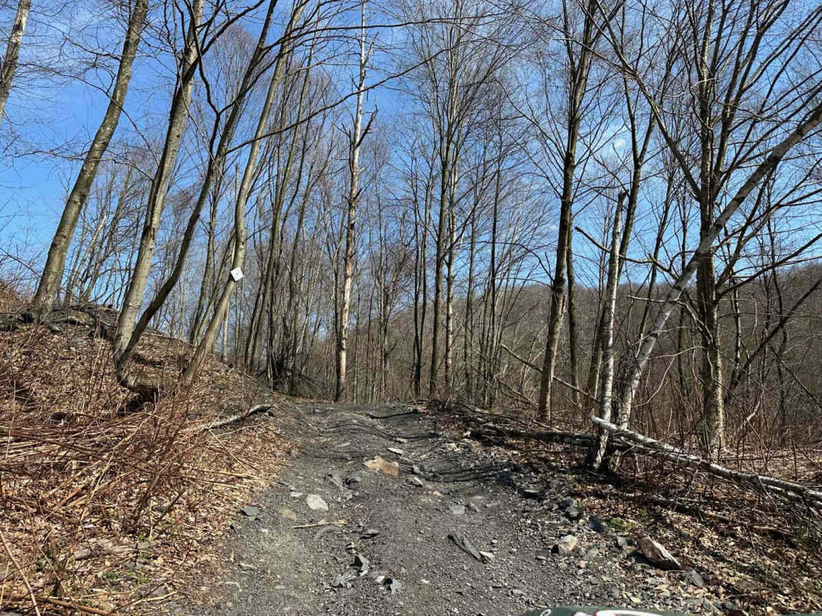 Ashland 17 photo 2