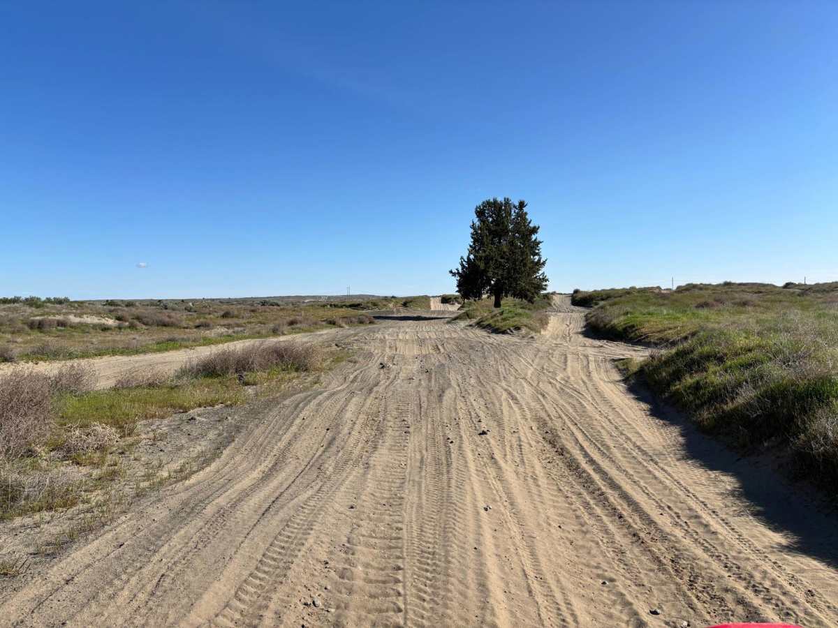 Juniper Dunes Road photo 6