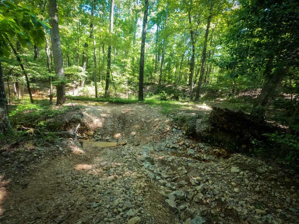 C4 Power Wagon trail photo