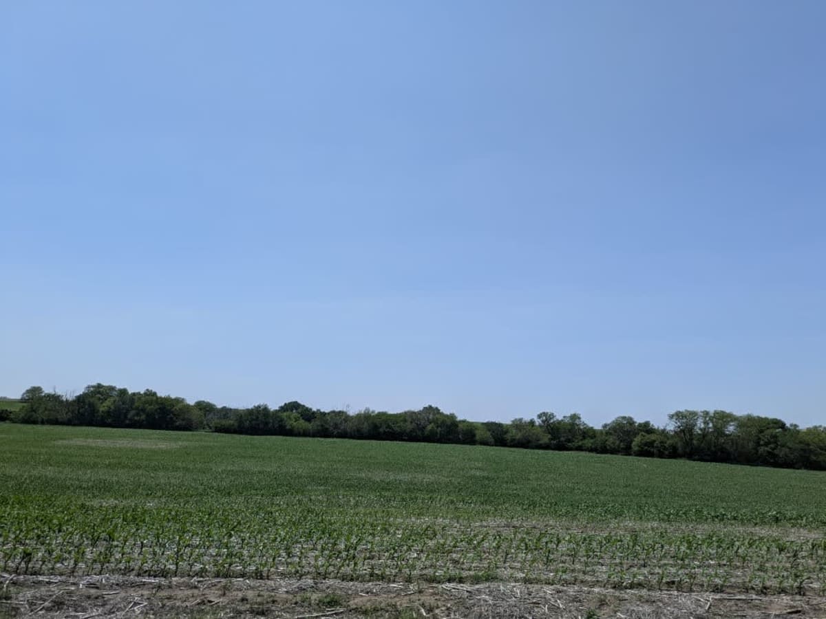 County Road S photo 2