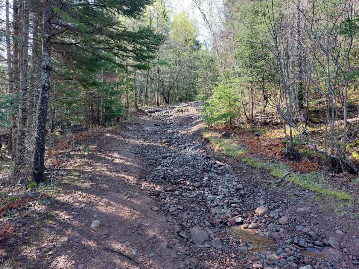 Horseshoe Harbor Road photo 4