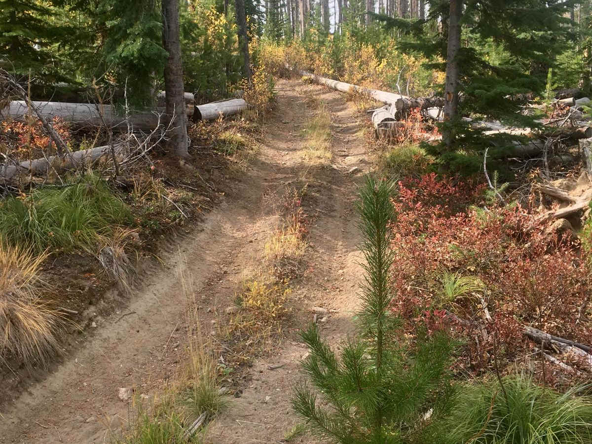Darby Trails Loop 1 photo 5
