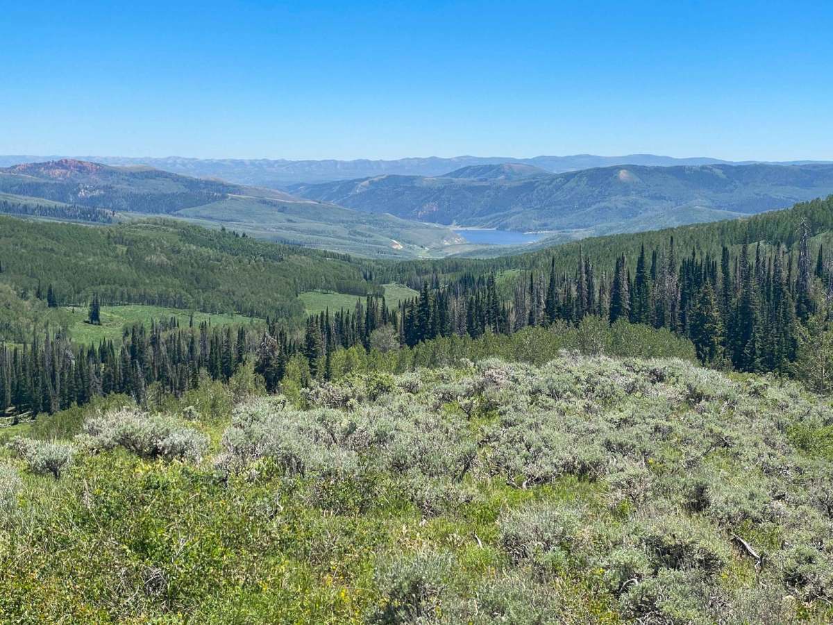Currant Ridge (FR 70080) photo 6