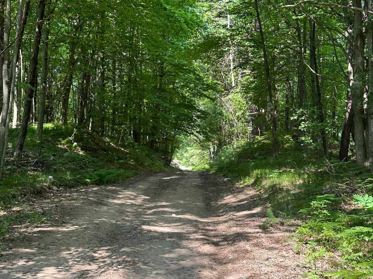 Trail 5461 photo 3