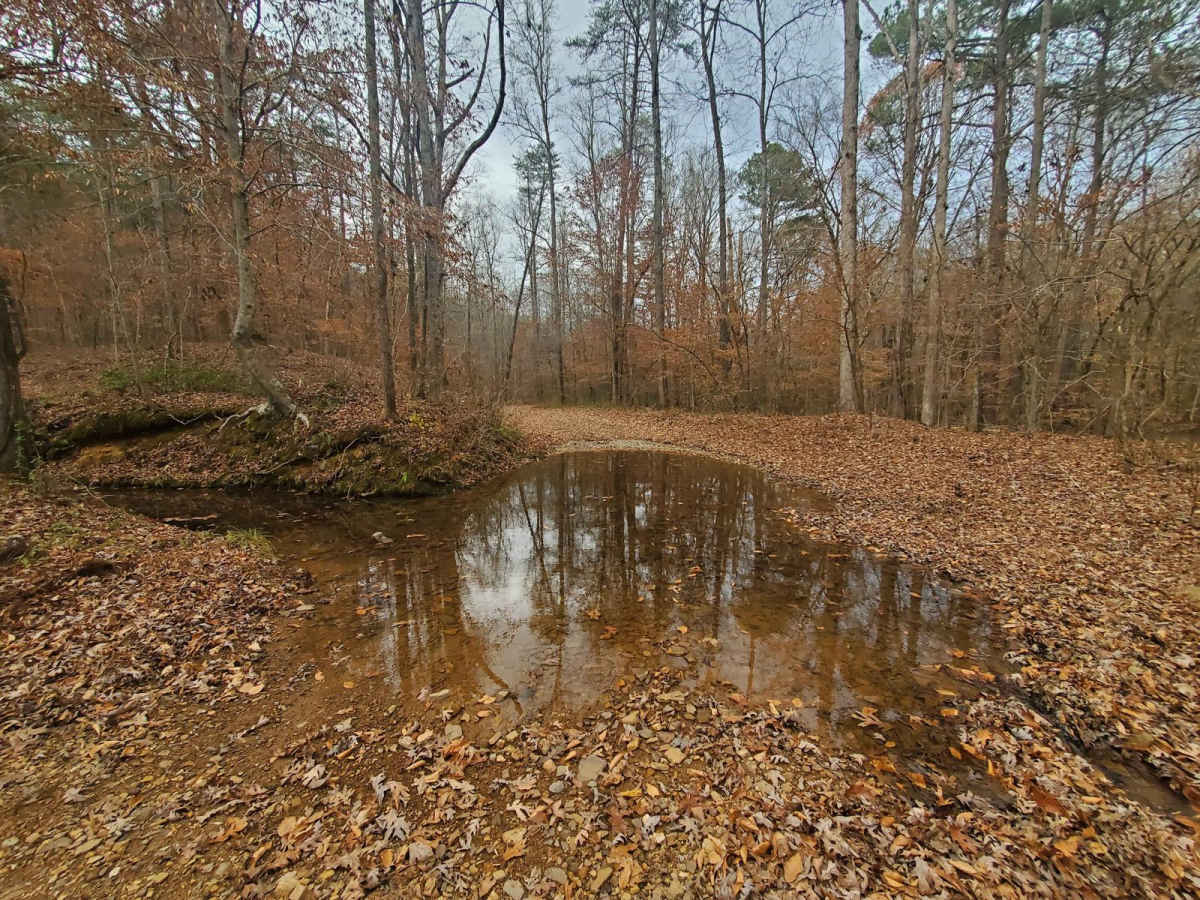 Stover Creek Road - FR 207 photo 4