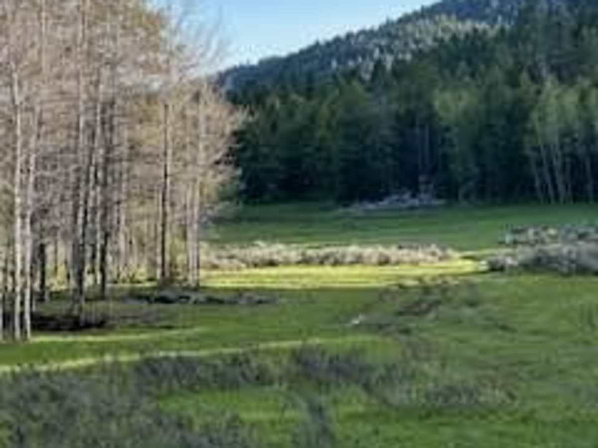 Manning Creek photo 2