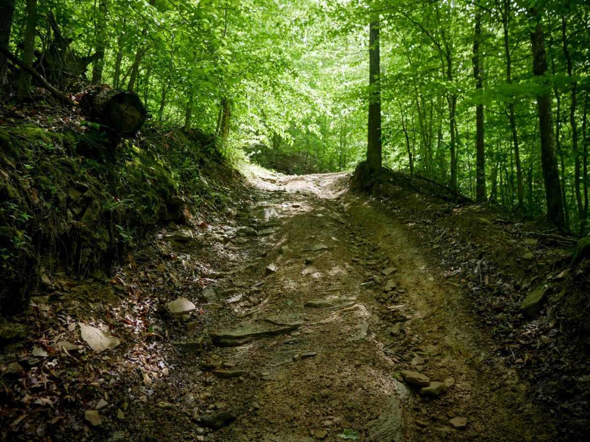 IB 65 trail photo