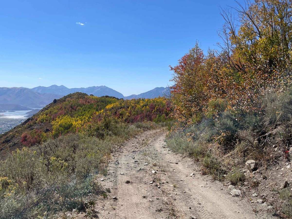 Polly Ridge photo 2