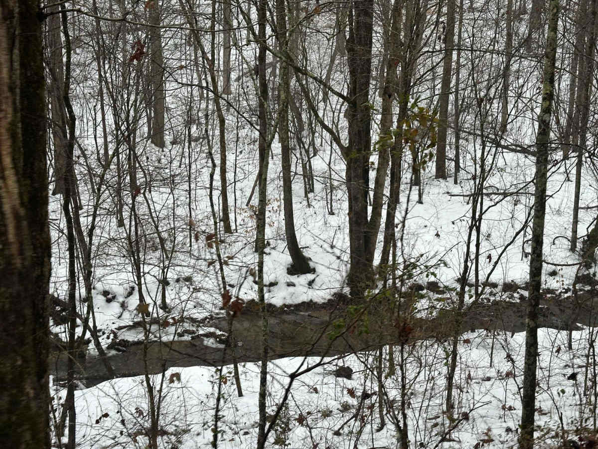 Lake Branch 3171 photo 2