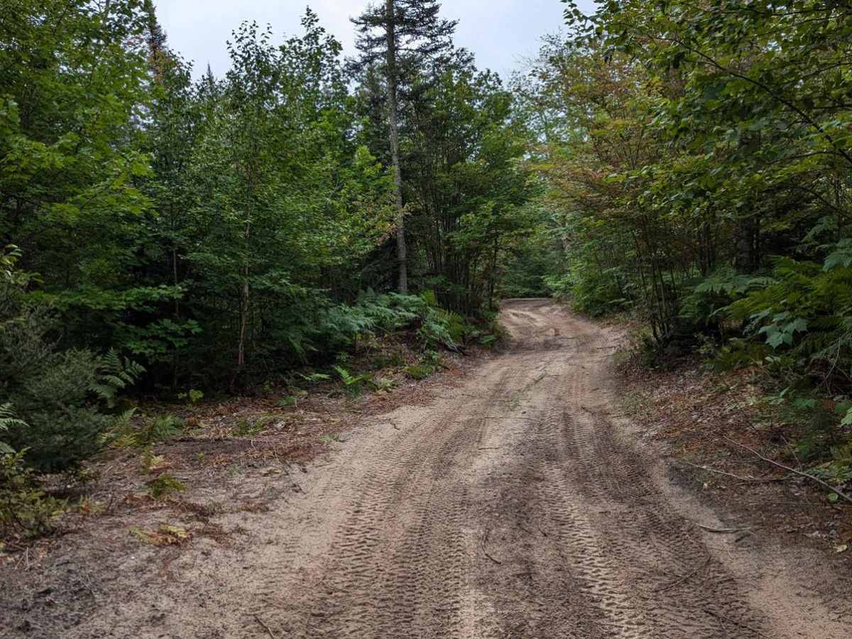 South Mandan Trail photo 3
