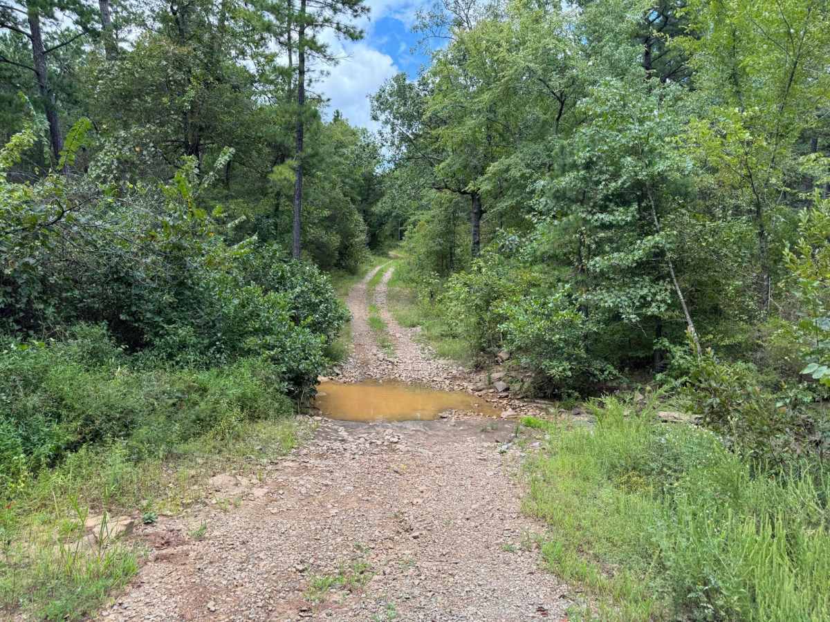 Smoluck - Trail 1653 photo 2