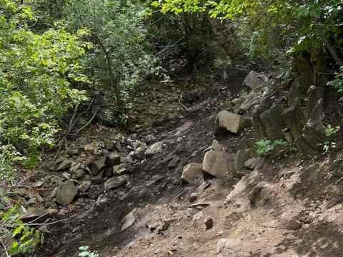 Left Fork Days Canyon (8011) photo 5
