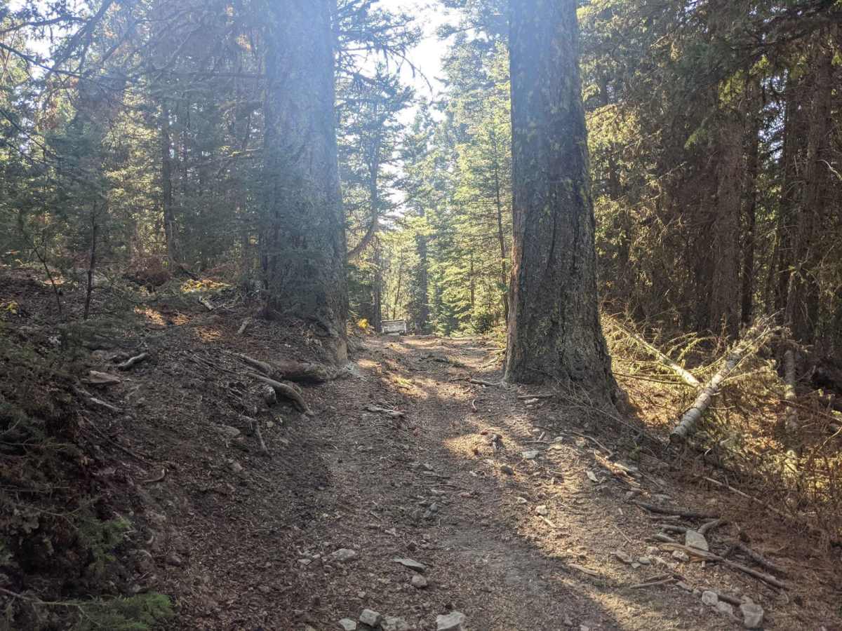 Willow Park trail photo