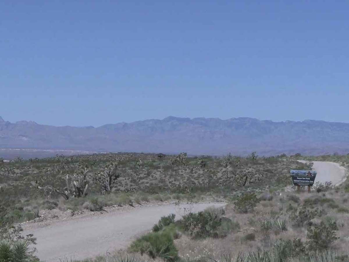 Lytle Ranch Road East photo 4