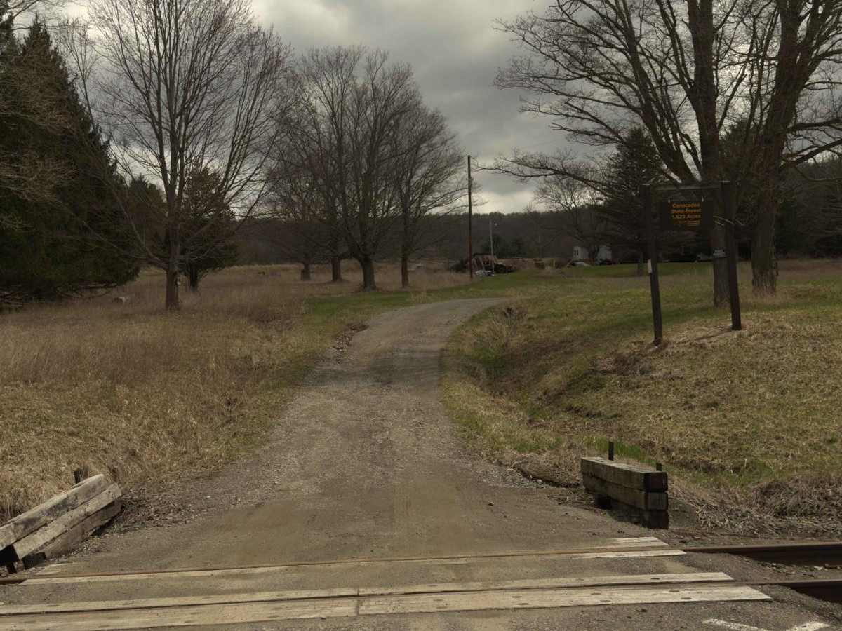 Canacadea McDuff Road South photo 2