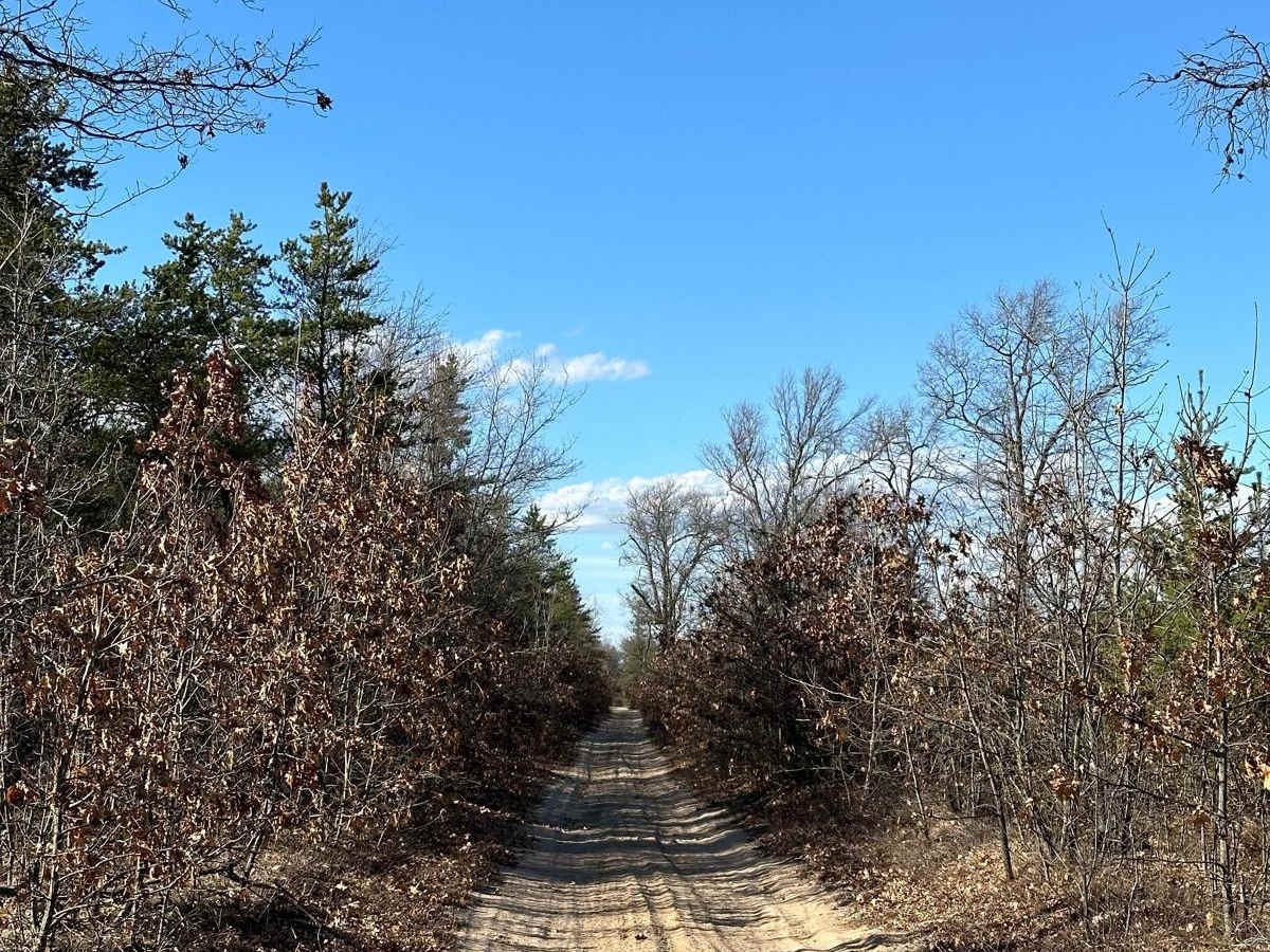 Small Road photo 2