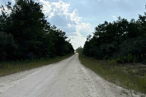 Volusia Trail - ONF 22