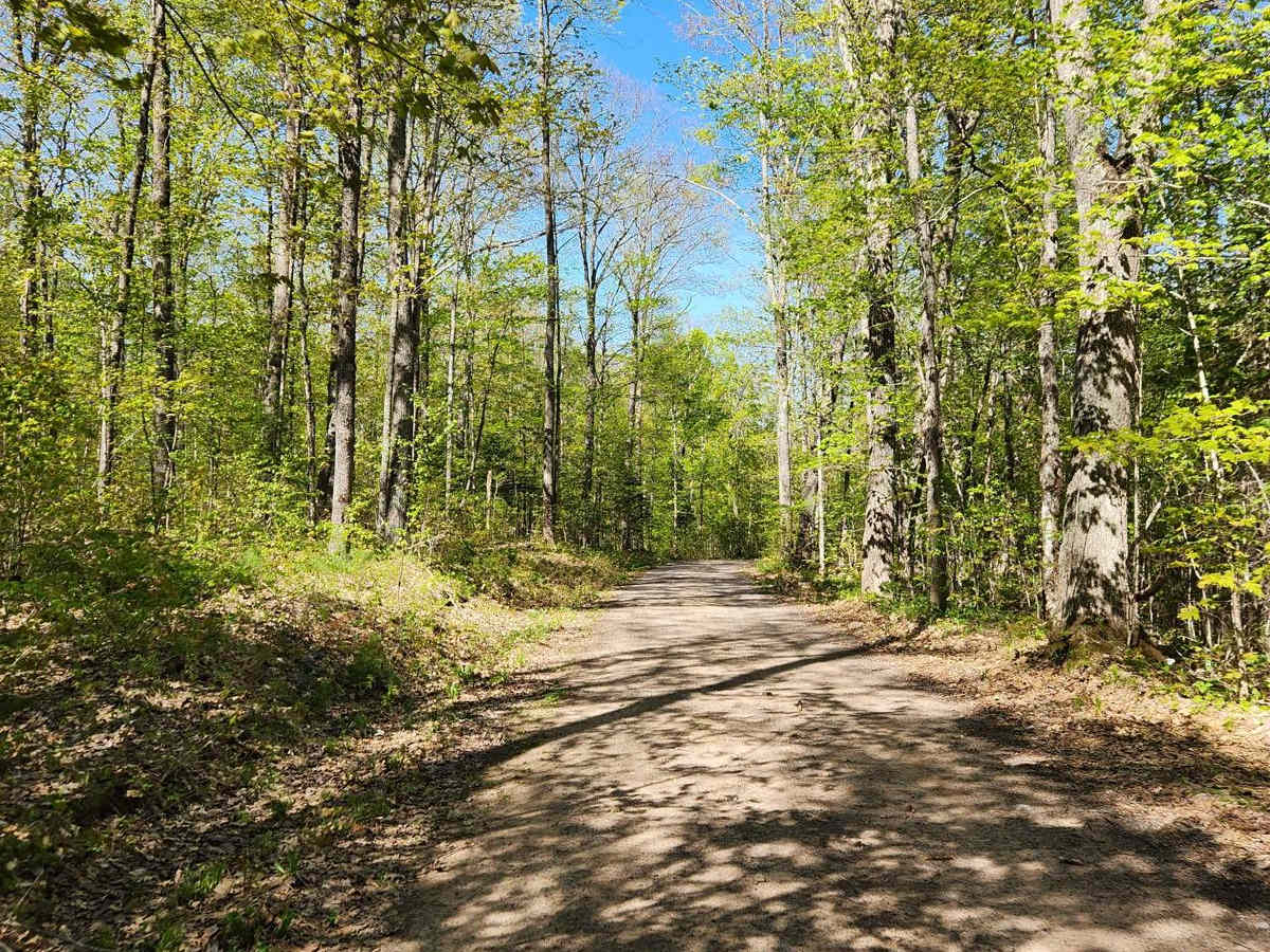 Trail 8 photo 3