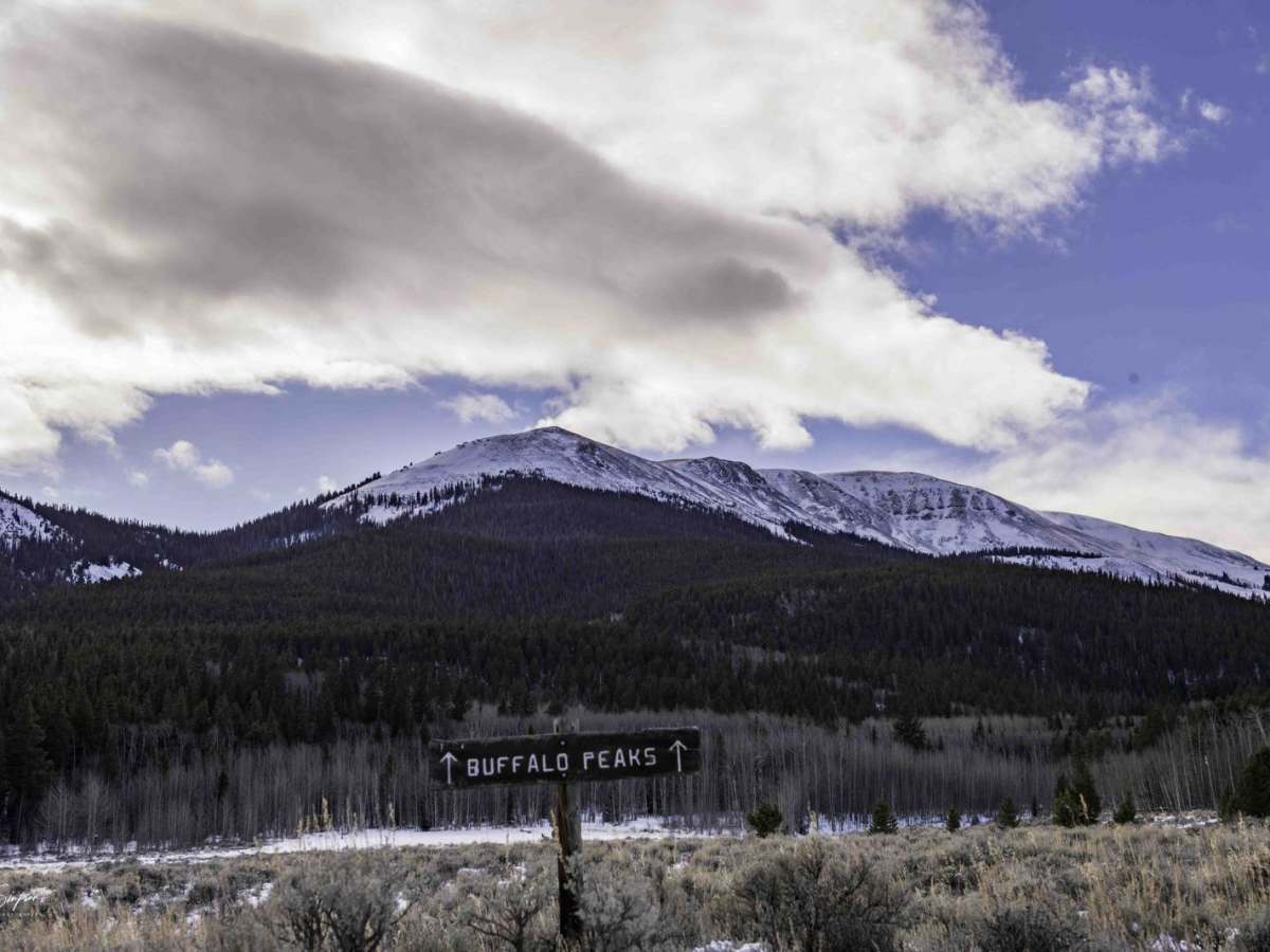 Buffalo Peaks Road #2 - 431 photo 3