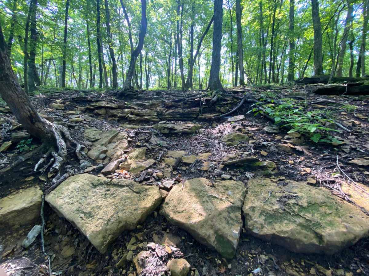 Crap Shoot 2 trail photo