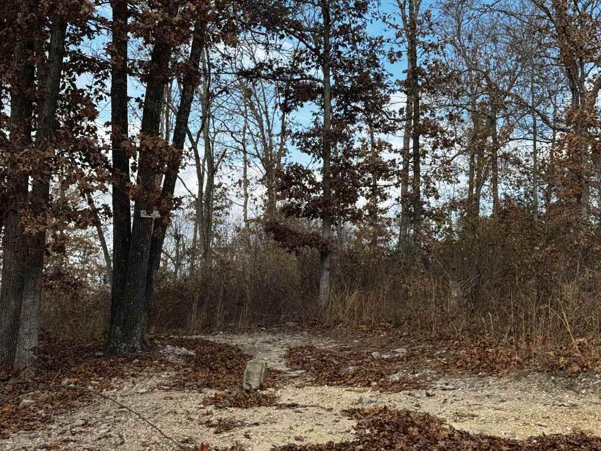 Maple Trail photo 4