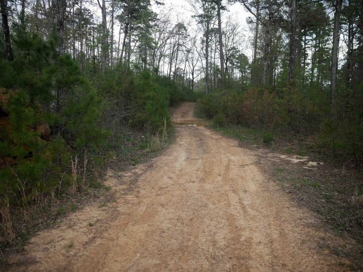 High Mountain Loop B photo 2