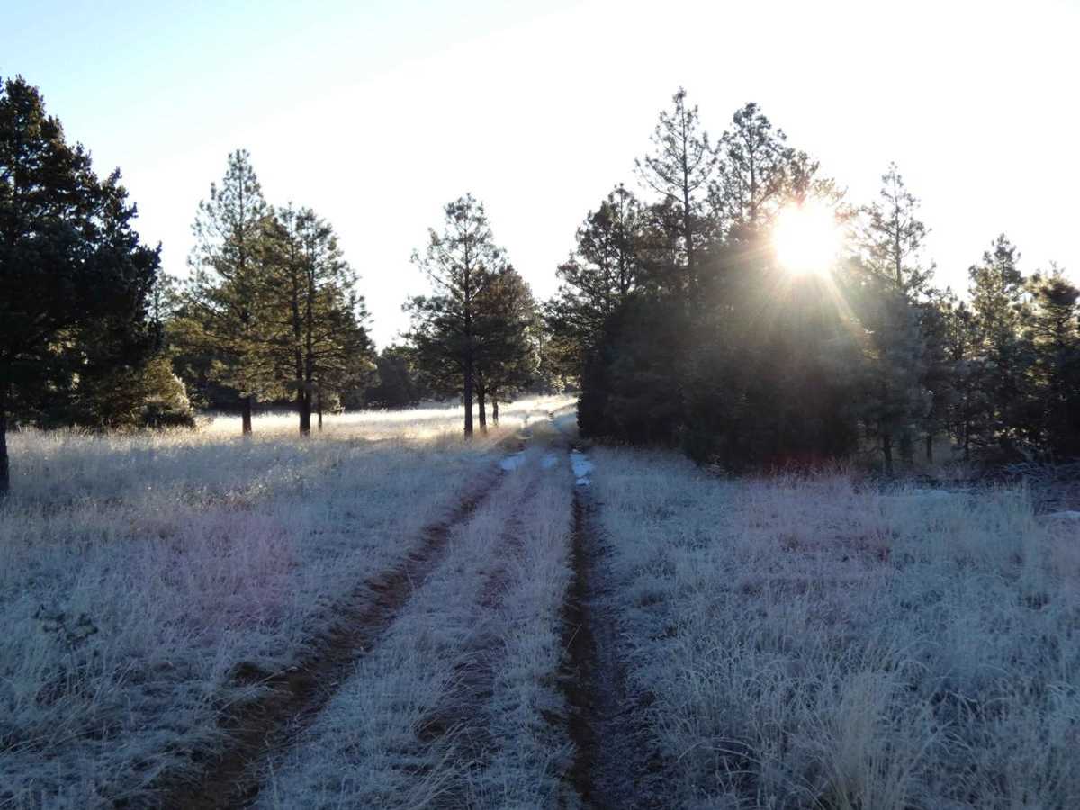 FSR 124H and 324HF trail photo