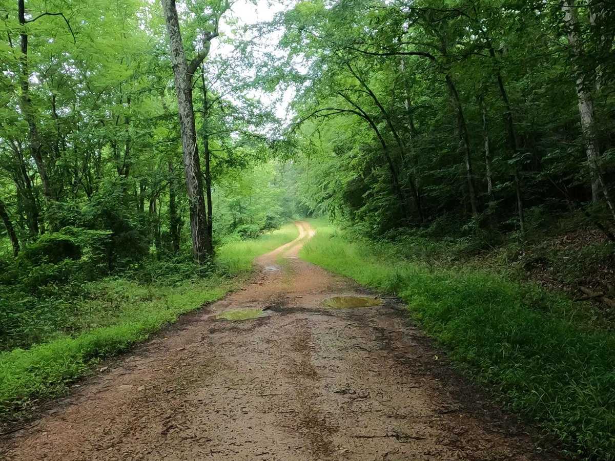 Crutcher Hollow Road FS 213 photo 4