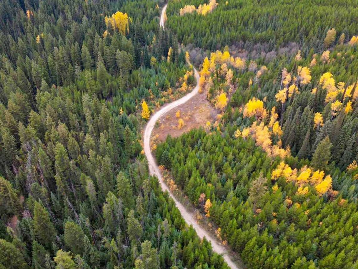 Chute-Gillard Connector photo 4