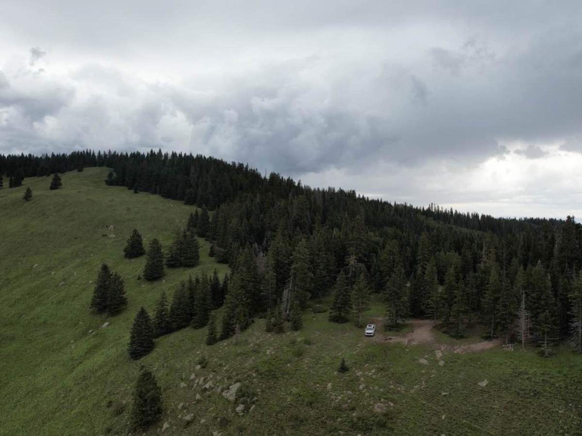 Encino Mountain Trail photo 2