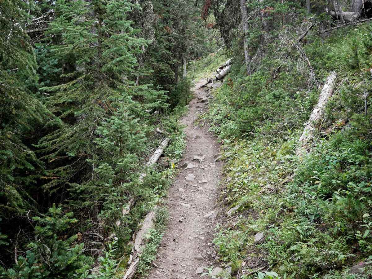 Golden Trout Lakes #83 photo 3