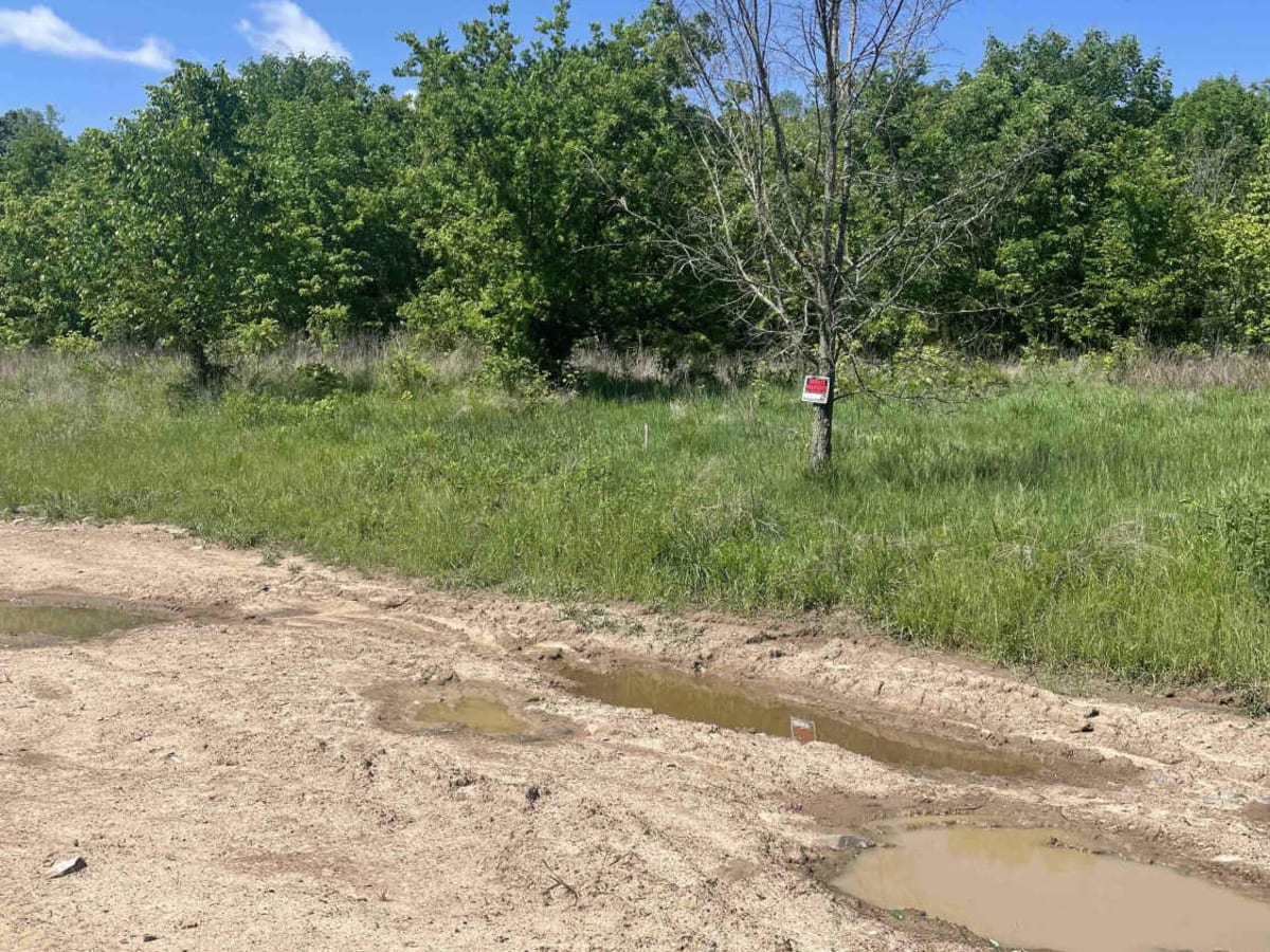 Gregory Lake West Boundary photo 4