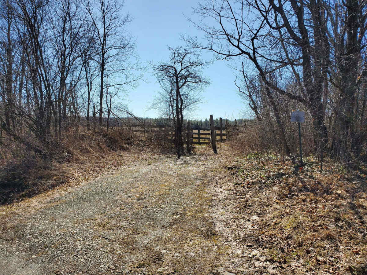 Wilkens Townsend Road photo 5