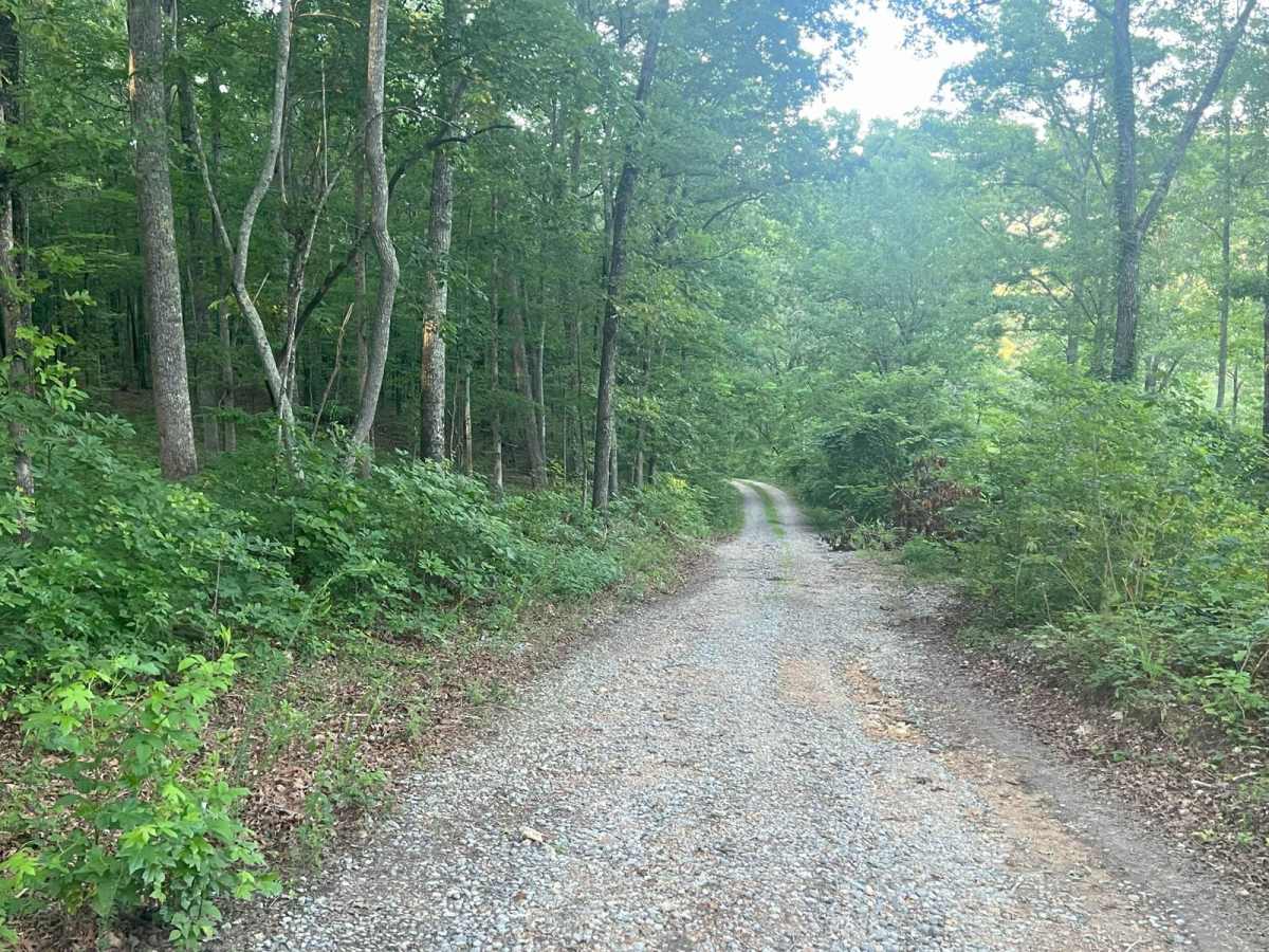 East Armuchee Creek - Forest Road 310 photo 5
