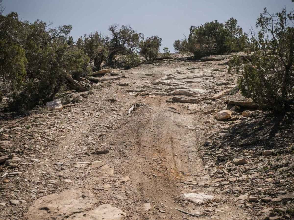 BLM Route 90 photo 5