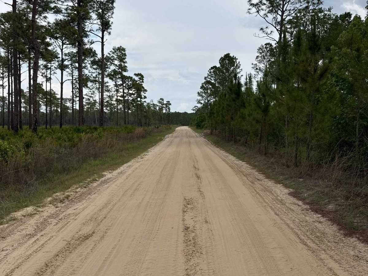 Spring Creek - ONF 6 photo 4