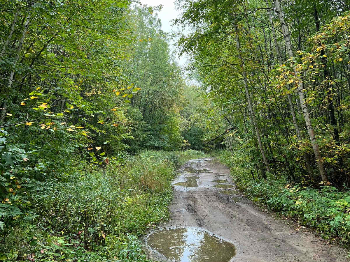 Bull Moose Trail photo 2