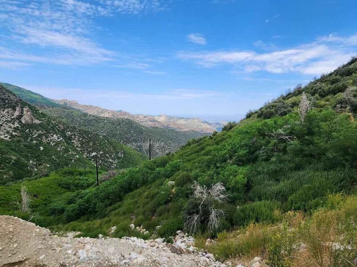 Continental Copper Access photo 4