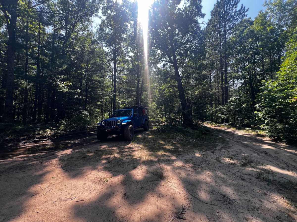 Pinewood Connector Trail photo 5