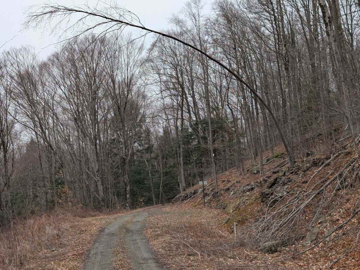 Carpenter Hill Road photo 5