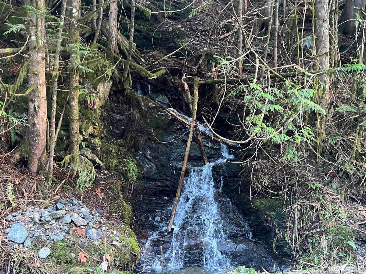 TUPSO Pass Mountain Stroll photo 3