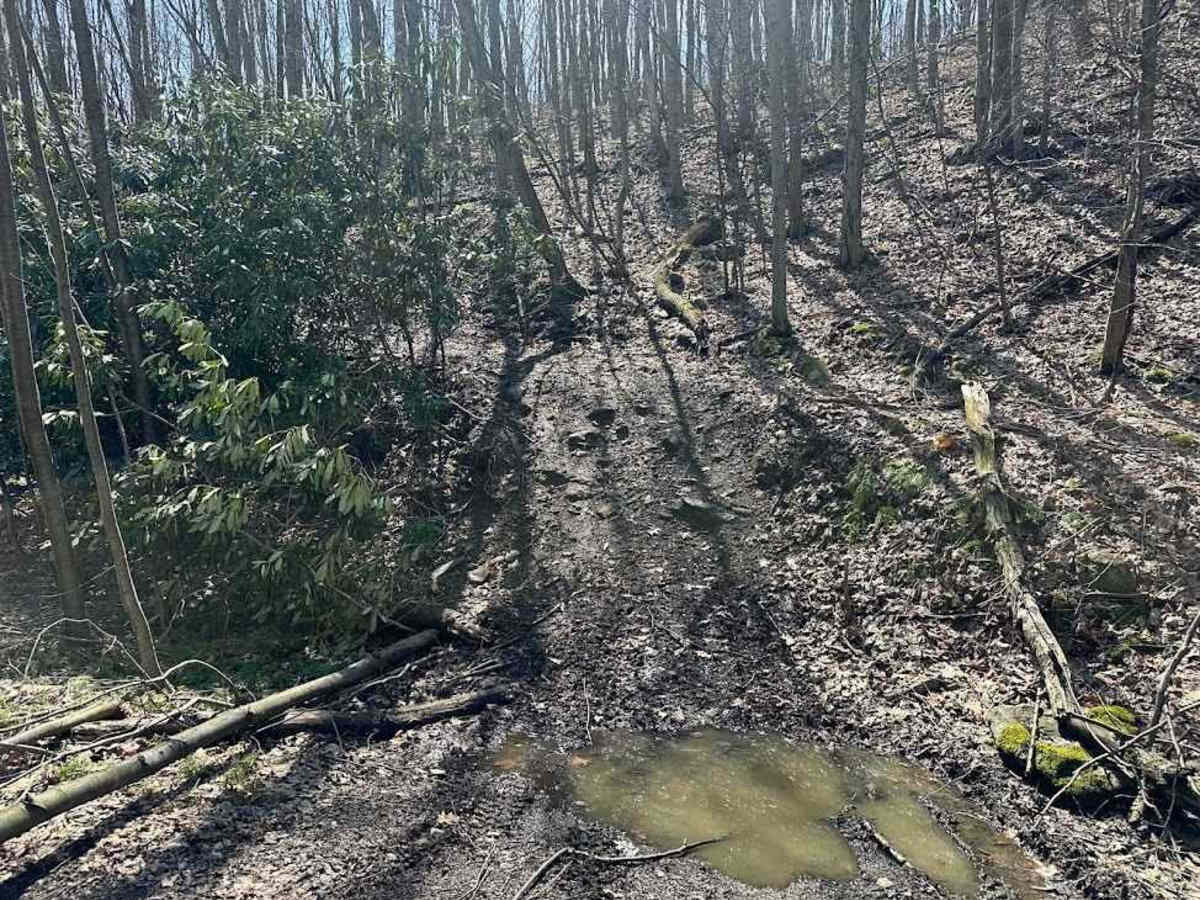 Ashalnd 132 trail photo