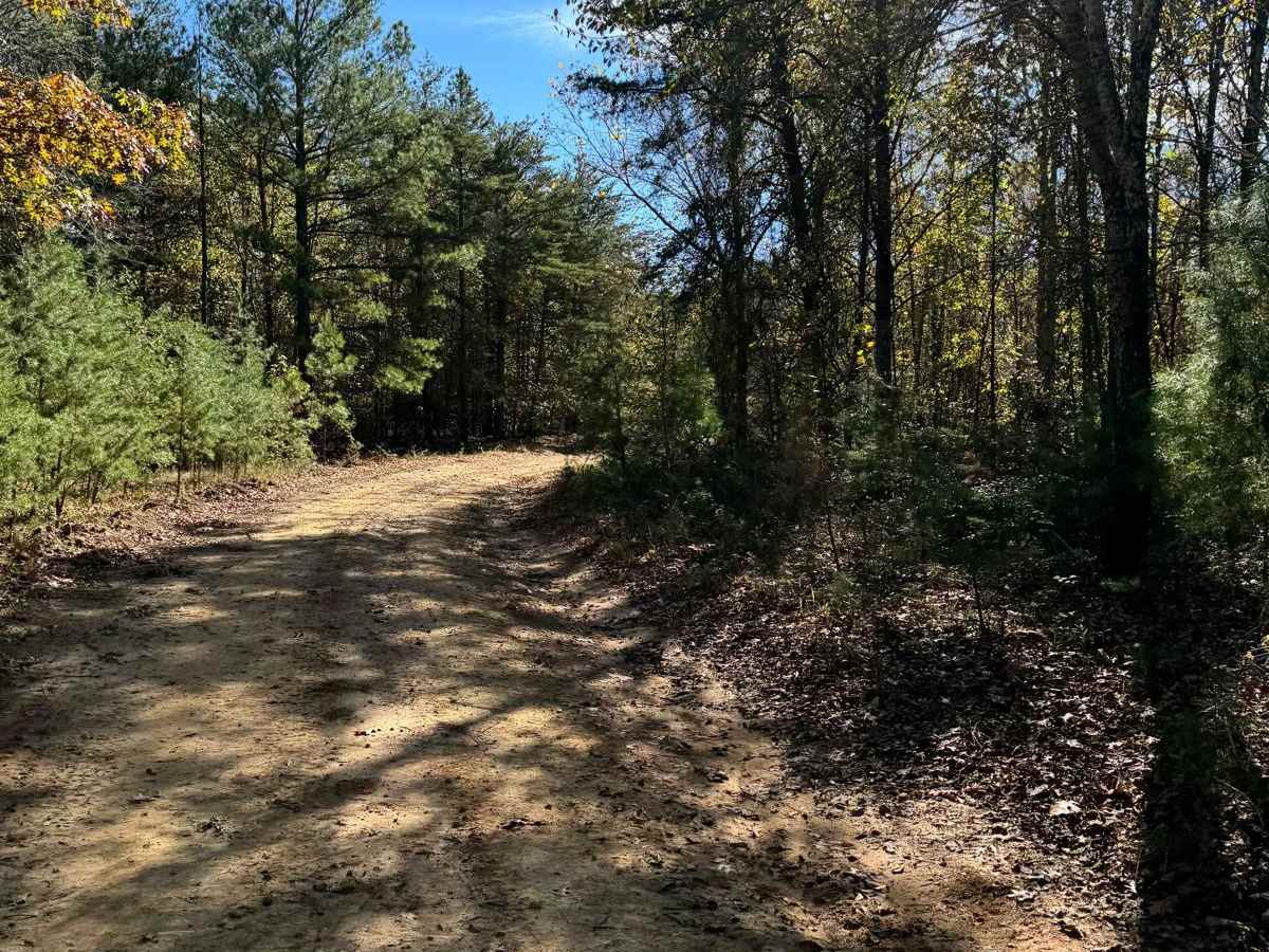 #81 Ridgeline Trail photo 5