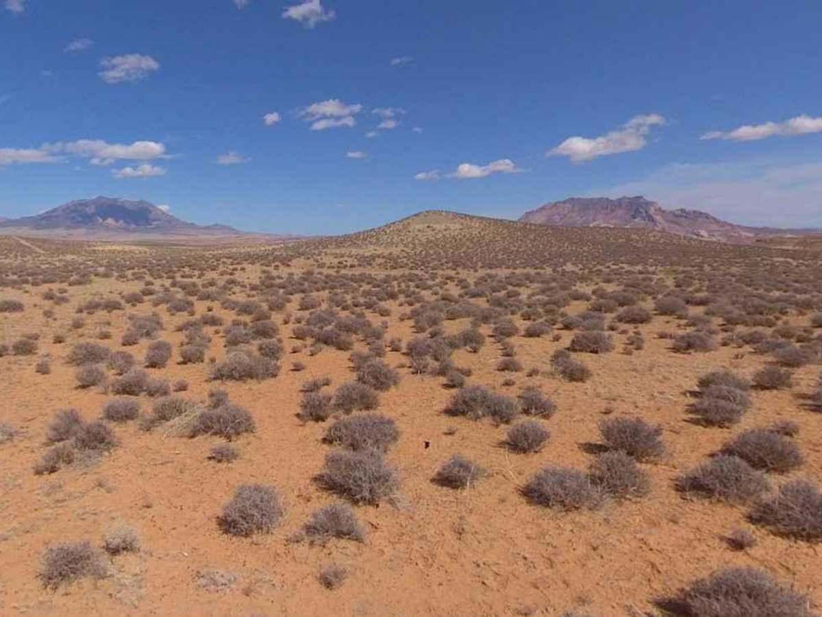 Tom Canyon-BLM13200 photo 5