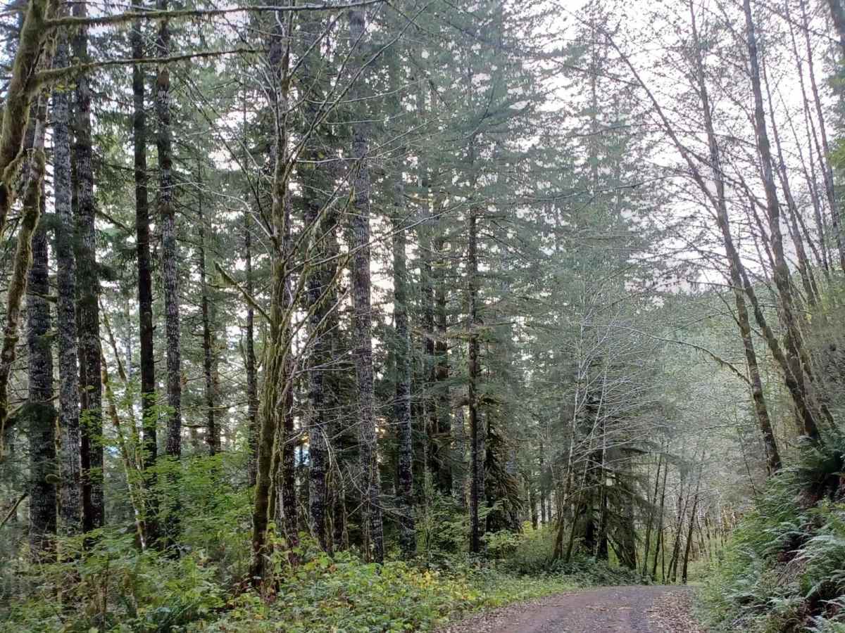 Cedar Creek photo 6