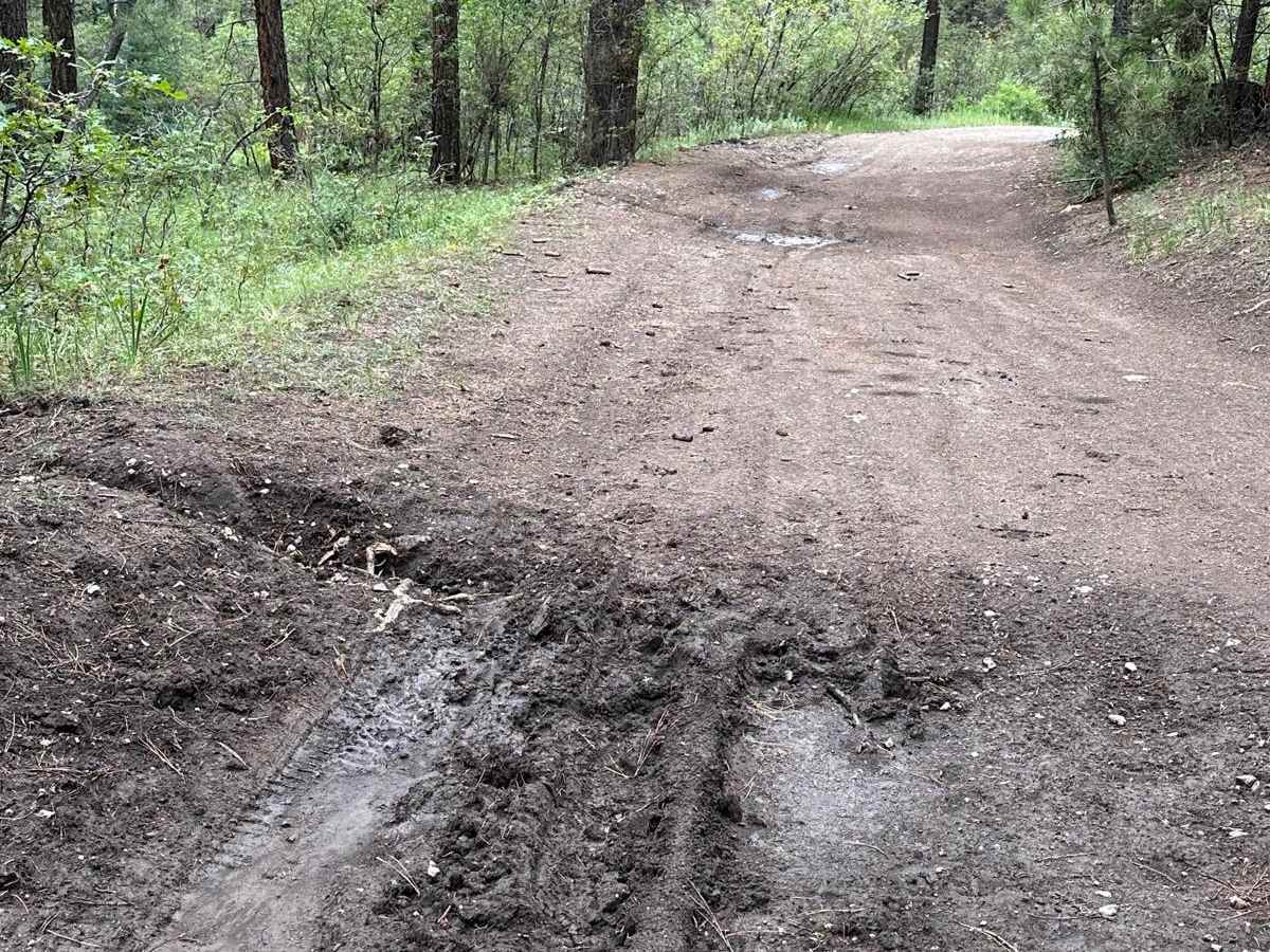 Mudhole Mania - FR 69C photo 2