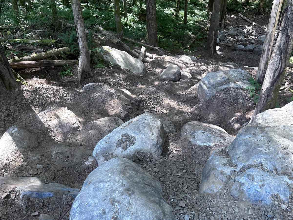 Loop Da Loop trail photo