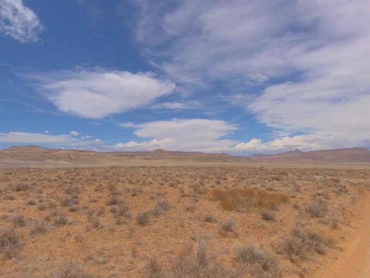 Coyote Valley Road-BLM431 photo 3