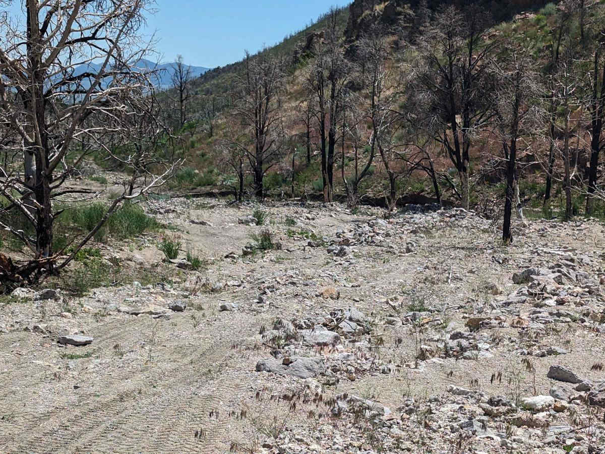 Johnny Canyon photo 6