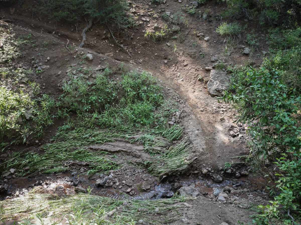 Peach Muley Cutoff photo 4